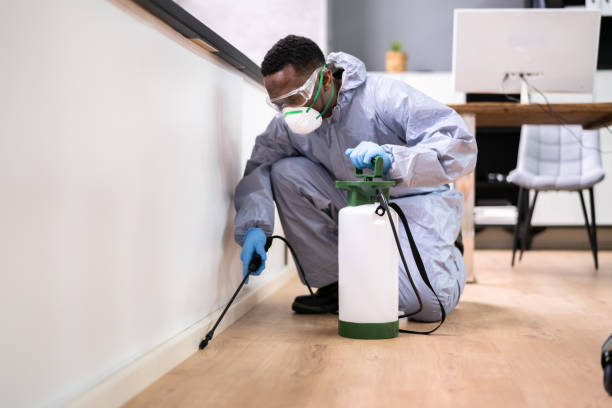 Best Pest Exclusion Services  in Belle, MO